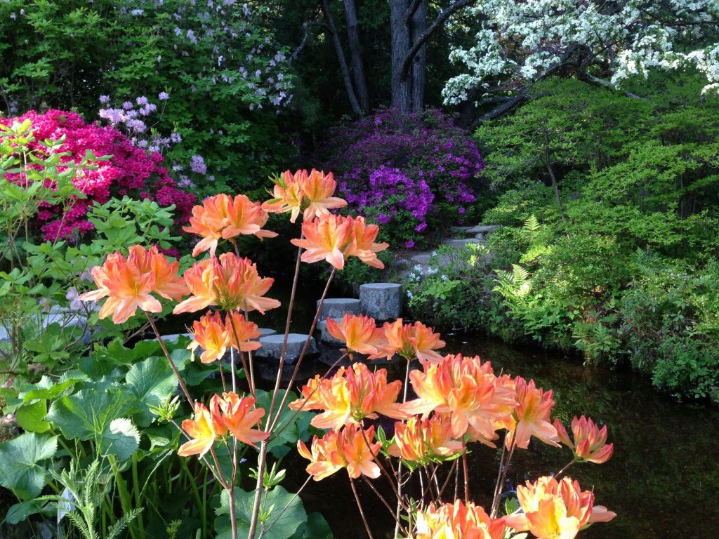 20-exquisite-gardens-from-around-the-world-that-will-take-your-breath-away-10