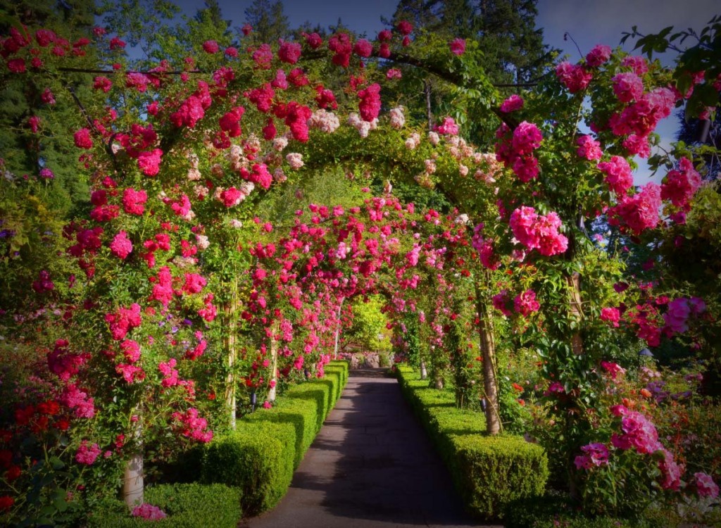 20-exquisite-gardens-from-around-the-world-that-will-take-your-breath-away-15