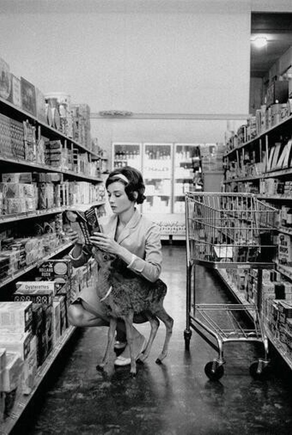 Audrey Hepburn shopping with her pet deer, Ip, in Beverly Hills, CA -1958.