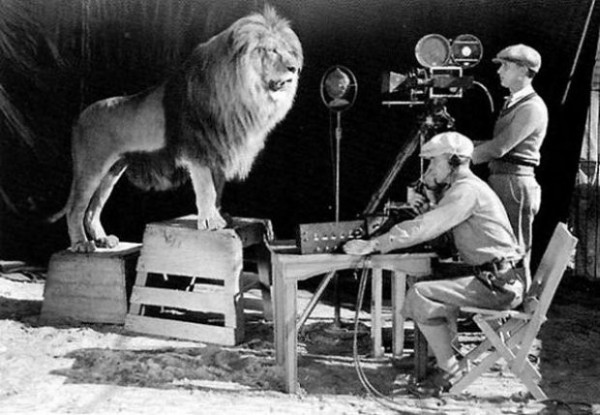 Cameramen recording the lion roar for the MGM logo