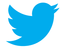 Twitter belo logo